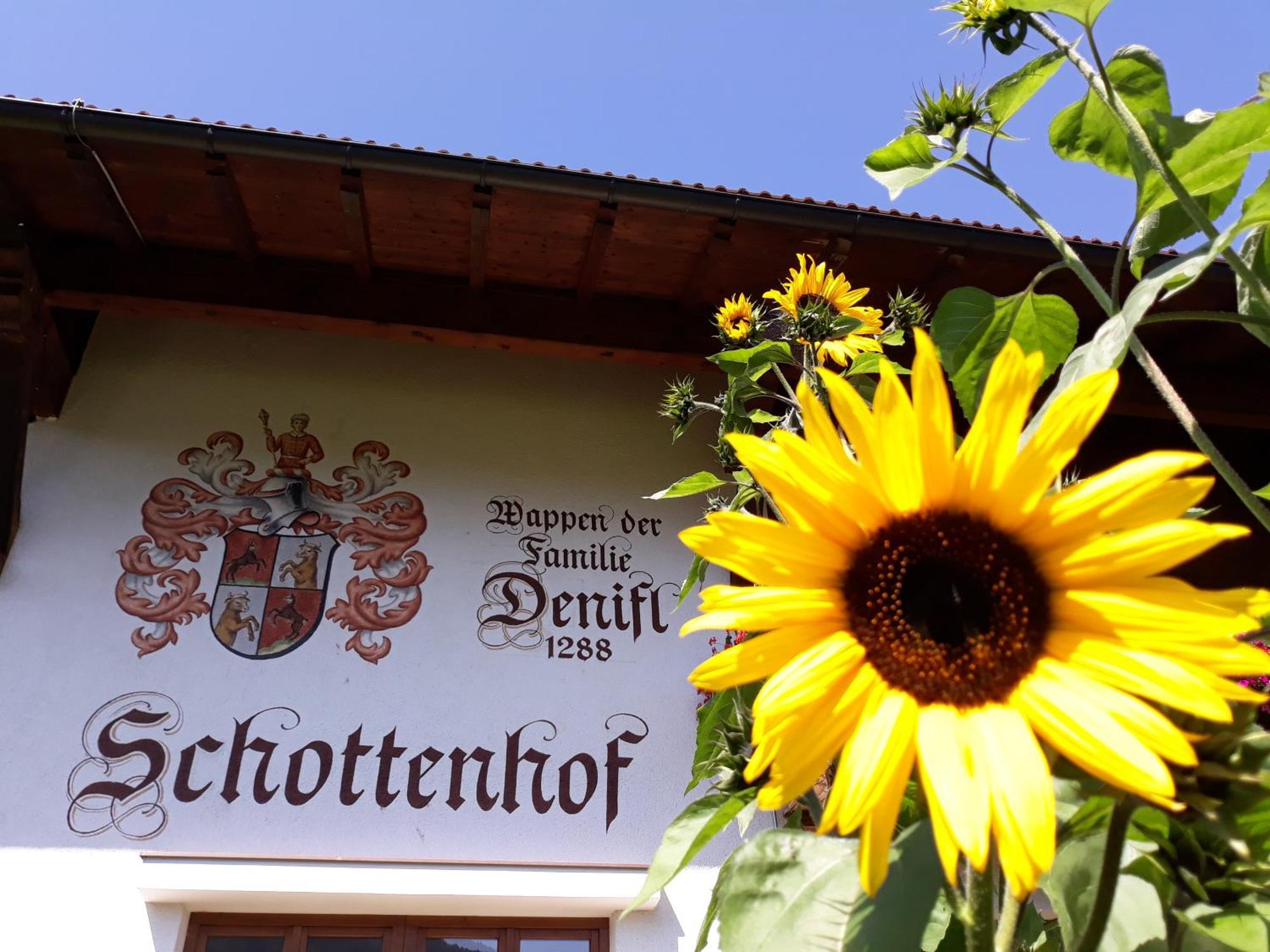 Schottenhof Fulpmes Exterior foto
